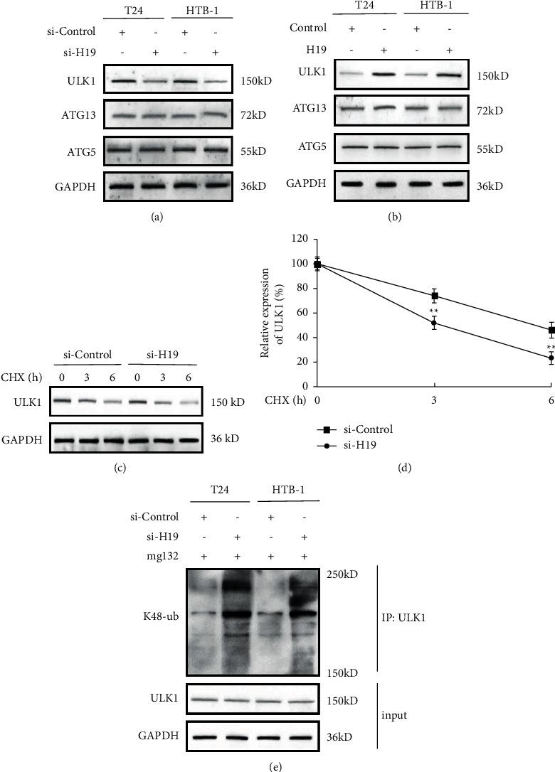 https://cdn.ncbi.nlm.nih.gov/pmc/blobs/5f22/9124072/554fa380aa92/JO2022-3465459.005.jpg