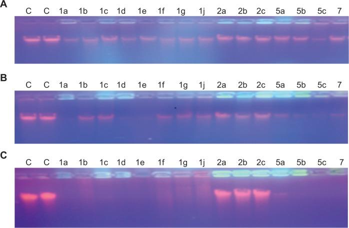 https://cdn.ncbi.nlm.nih.gov/pmc/blobs/5f23/4189708/ef6dbc5b1576/dddt-8-1659Fig4.jpg