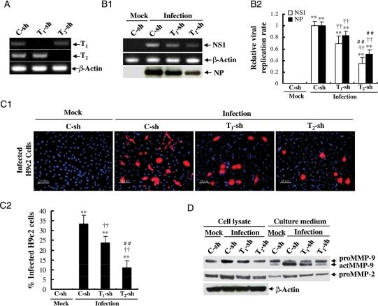 https://cdn.ncbi.nlm.nih.gov/pmc/blobs/5f26/3028976/1543ac931b4a/cvq35805.jpg