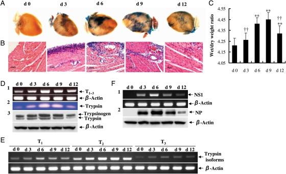 https://cdn.ncbi.nlm.nih.gov/pmc/blobs/5f26/3028976/63a52219a238/cvq35801.jpg