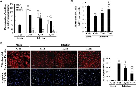 https://cdn.ncbi.nlm.nih.gov/pmc/blobs/5f26/3028976/688dd3d14f28/cvq35806.jpg