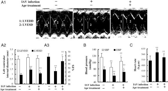 https://cdn.ncbi.nlm.nih.gov/pmc/blobs/5f26/3028976/78d079073cd1/cvq35804.jpg