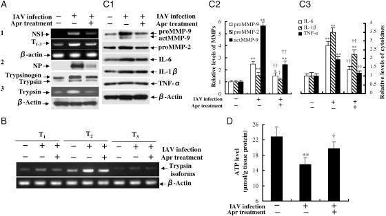 https://cdn.ncbi.nlm.nih.gov/pmc/blobs/5f26/3028976/a581be0a4452/cvq35803.jpg