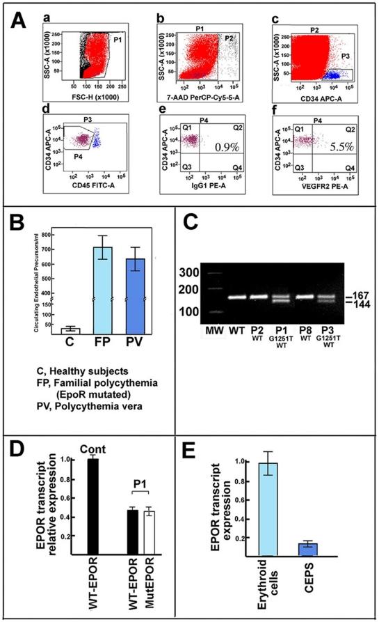 https://cdn.ncbi.nlm.nih.gov/pmc/blobs/5f27/2916842/ed9dc81db10d/pone.0012015.g003.jpg