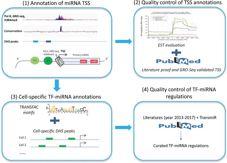 https://cdn.ncbi.nlm.nih.gov/pmc/blobs/5f27/5753250/9c185c9aa45e/gkx996fig1.jpg