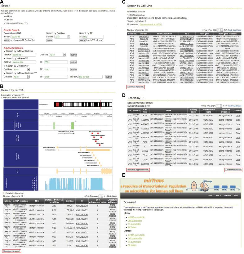 https://cdn.ncbi.nlm.nih.gov/pmc/blobs/5f27/5753250/e74e4b0863c0/gkx996fig3.jpg