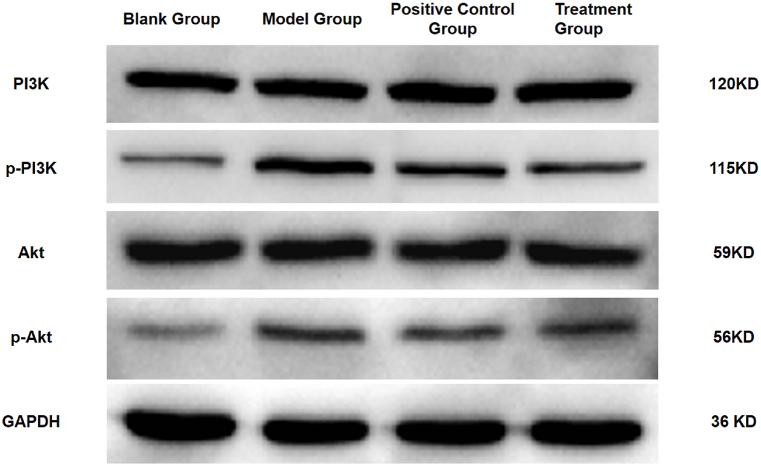 https://cdn.ncbi.nlm.nih.gov/pmc/blobs/5f28/11791135/3406e80261c1/gr14.jpg