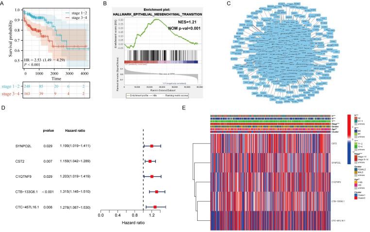 https://cdn.ncbi.nlm.nih.gov/pmc/blobs/5f2b/11379079/1f62a4a6d1f7/ijbsv20p4128g001.jpg