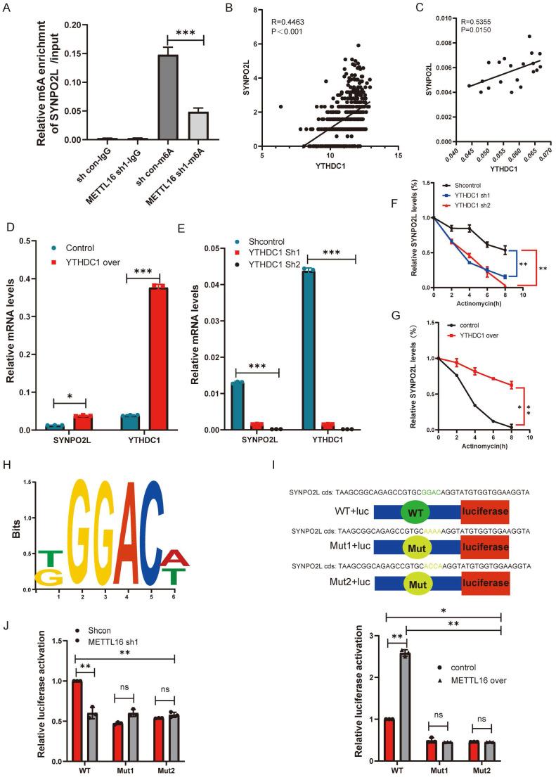 https://cdn.ncbi.nlm.nih.gov/pmc/blobs/5f2b/11379079/5f62cef4f2e8/ijbsv20p4128g005.jpg