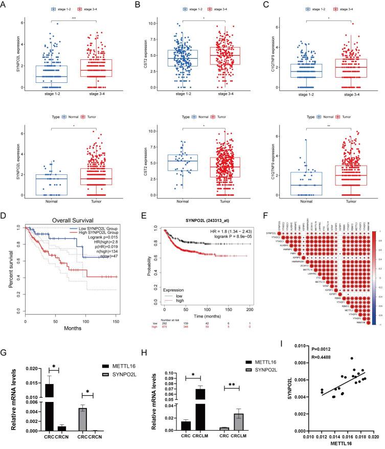 https://cdn.ncbi.nlm.nih.gov/pmc/blobs/5f2b/11379079/f6393f7e1d99/ijbsv20p4128g002.jpg