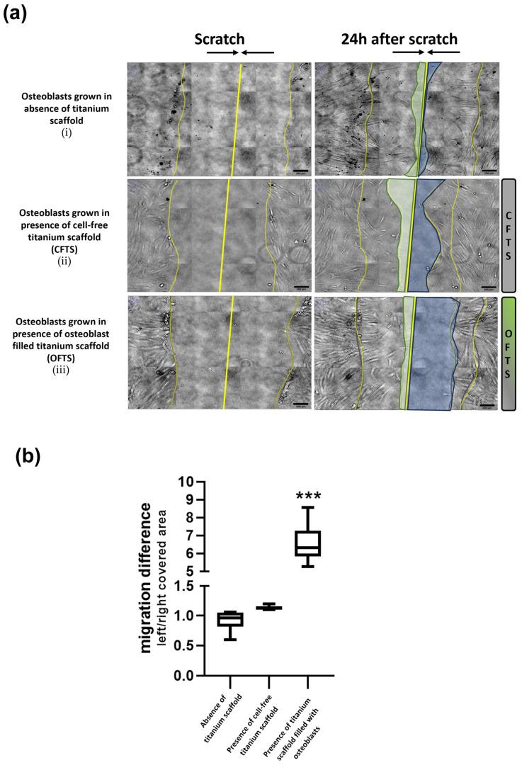 https://cdn.ncbi.nlm.nih.gov/pmc/blobs/5f2b/12026869/66f9a7321c45/ijms-26-03598-g001.jpg