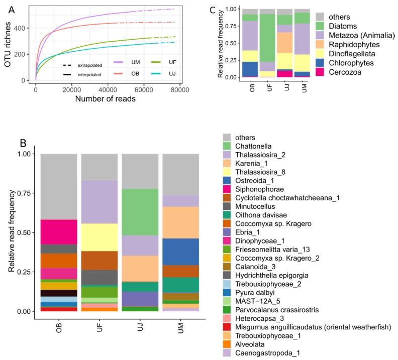 https://cdn.ncbi.nlm.nih.gov/pmc/blobs/5f2b/7254495/31a264377b5d/microorganisms-08-00506-g006.jpg