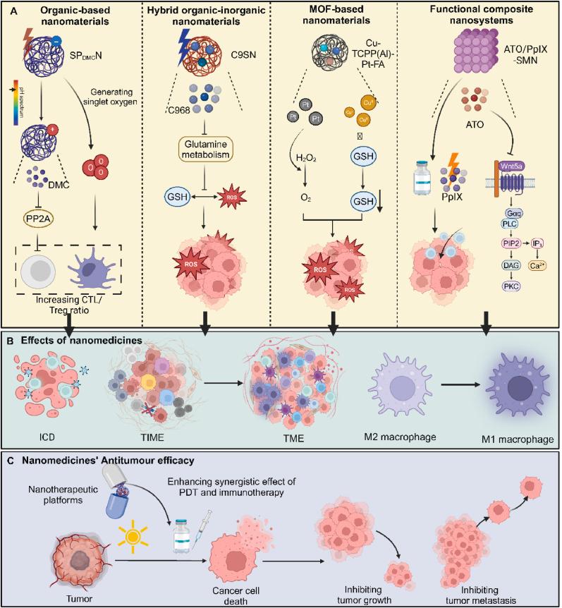 https://cdn.ncbi.nlm.nih.gov/pmc/blobs/5f2c/11683241/6ee03a040518/gr3.jpg
