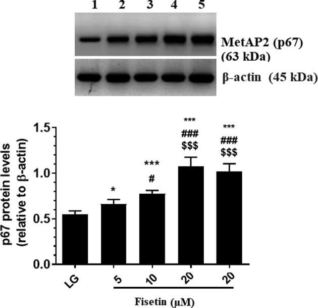 https://cdn.ncbi.nlm.nih.gov/pmc/blobs/5f2c/7873759/2ca0251ba532/fx1.jpg