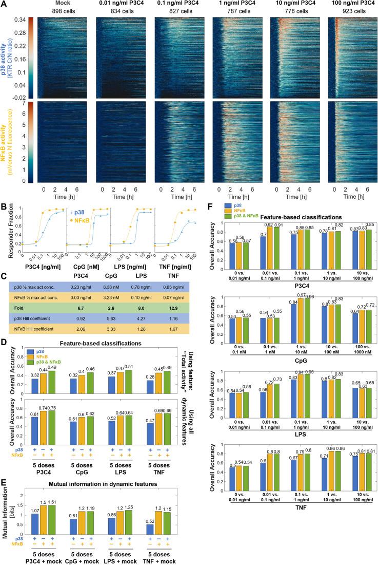 https://cdn.ncbi.nlm.nih.gov/pmc/blobs/5f2d/11297158/7d15f8c10a74/44320_2024_47_Fig4_HTML.jpg