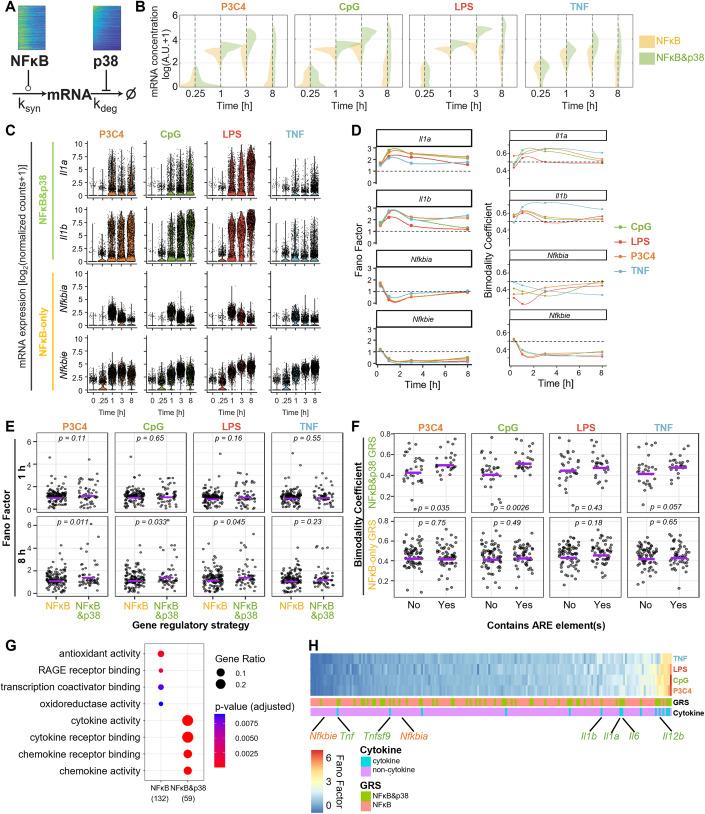 https://cdn.ncbi.nlm.nih.gov/pmc/blobs/5f2d/11297158/d262d7eae9b6/44320_2024_47_Fig7_HTML.jpg