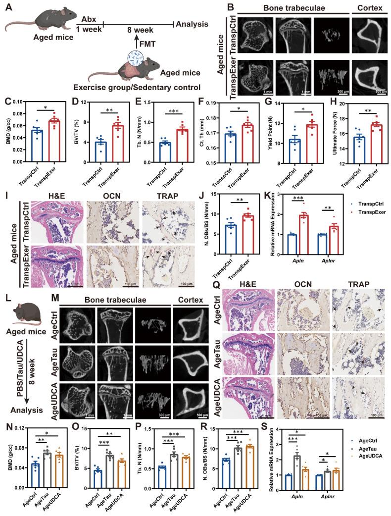 https://cdn.ncbi.nlm.nih.gov/pmc/blobs/5f2d/11780523/02a28ea48229/thnov15p1741g007.jpg
