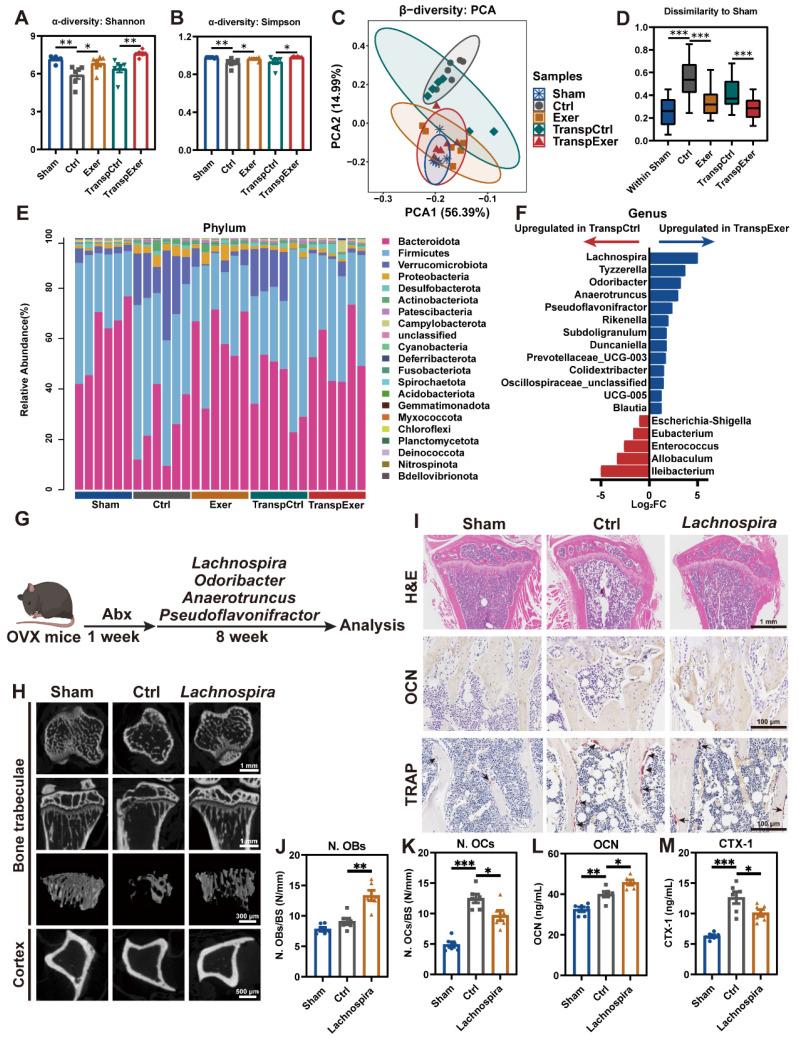 https://cdn.ncbi.nlm.nih.gov/pmc/blobs/5f2d/11780523/5c553a35ac05/thnov15p1741g005.jpg