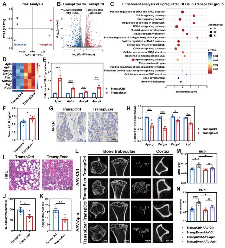 https://cdn.ncbi.nlm.nih.gov/pmc/blobs/5f2d/11780523/5e6593f19b26/thnov15p1741g003.jpg