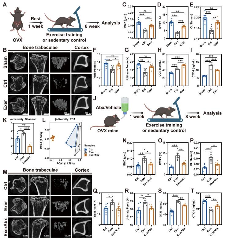 https://cdn.ncbi.nlm.nih.gov/pmc/blobs/5f2d/11780523/69cf574f37b6/thnov15p1741g001.jpg