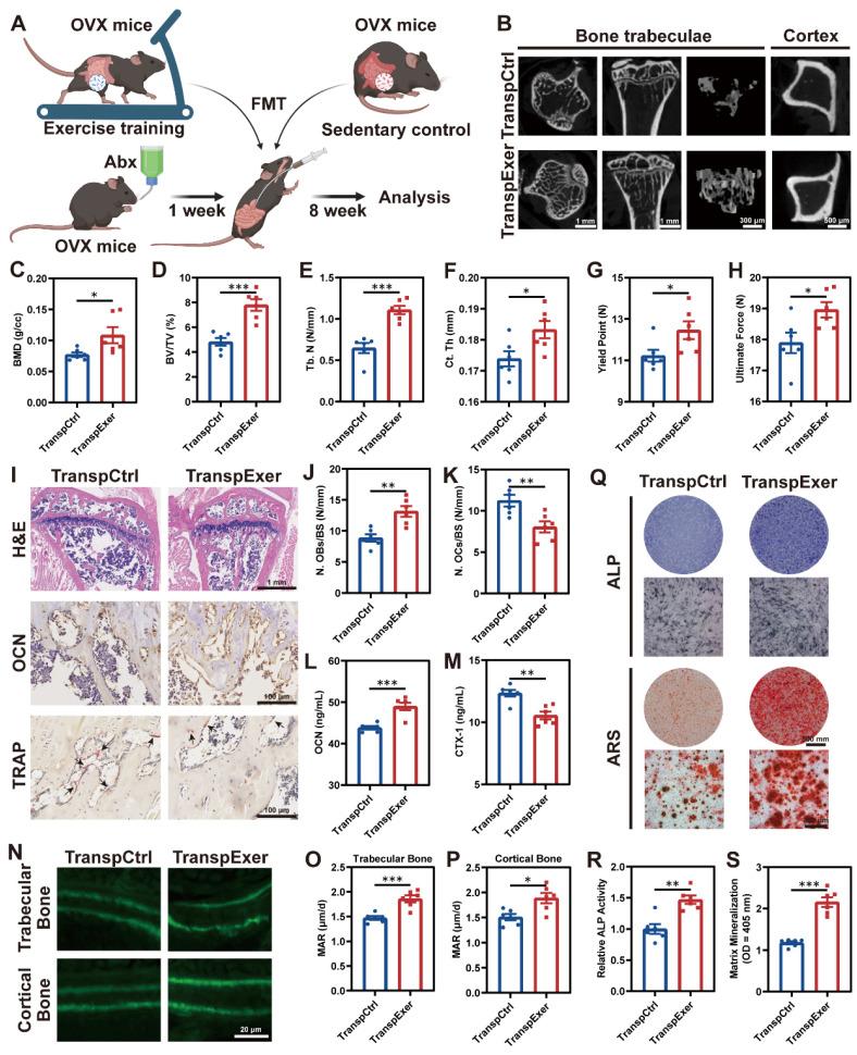 https://cdn.ncbi.nlm.nih.gov/pmc/blobs/5f2d/11780523/6cfb9e08970a/thnov15p1741g002.jpg