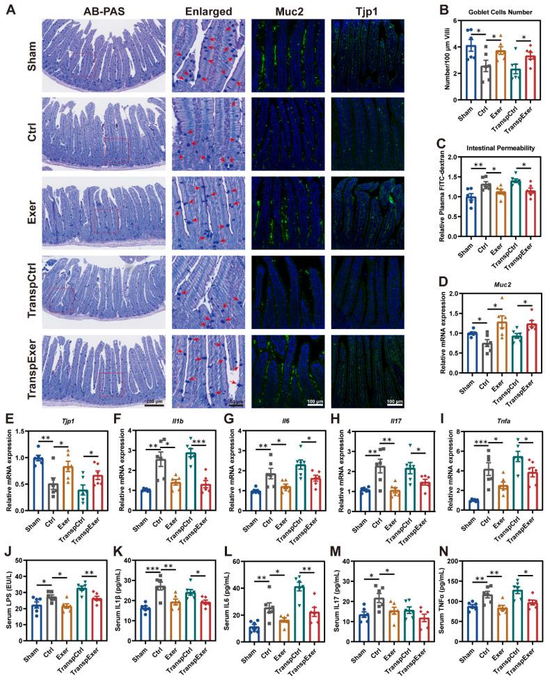 https://cdn.ncbi.nlm.nih.gov/pmc/blobs/5f2d/11780523/7d21668a982c/thnov15p1741g004.jpg