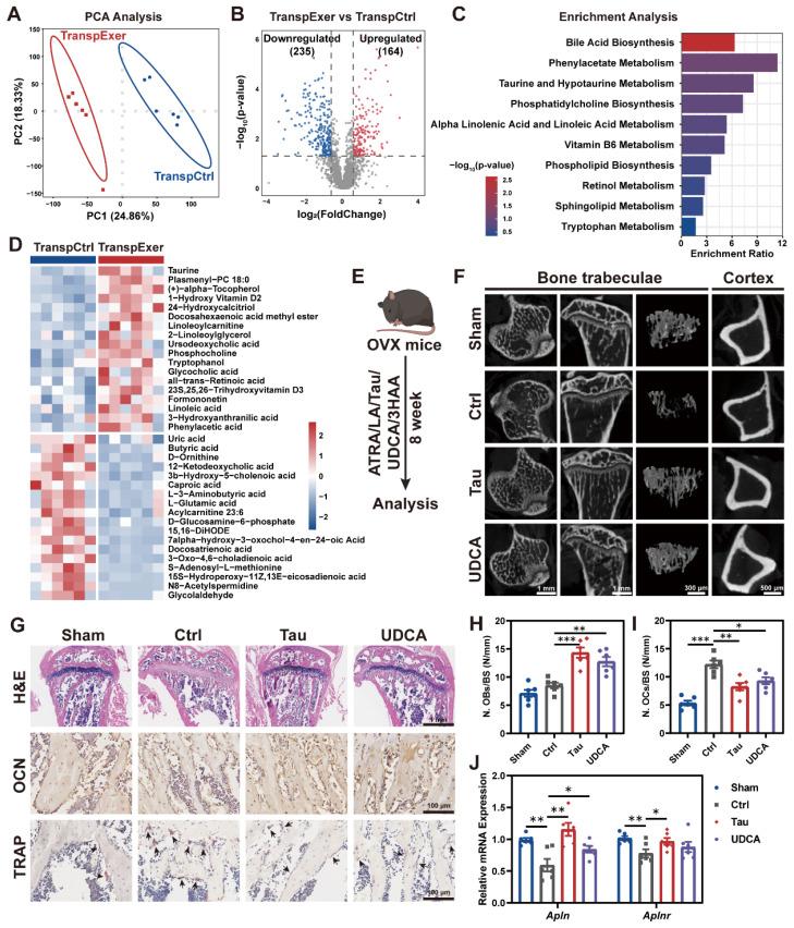 https://cdn.ncbi.nlm.nih.gov/pmc/blobs/5f2d/11780523/81e303d25856/thnov15p1741g006.jpg