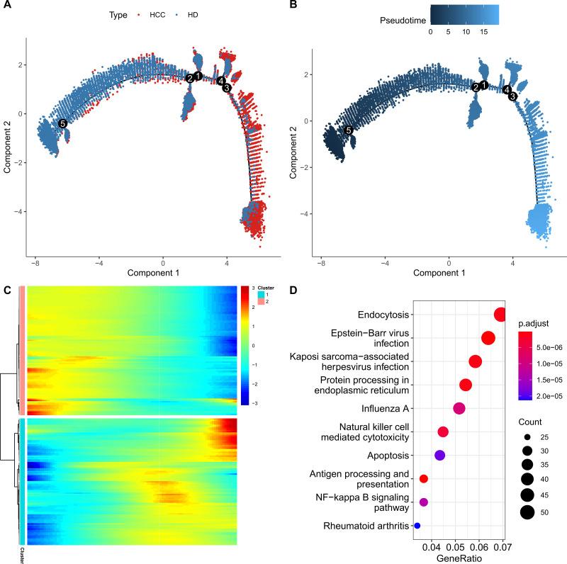 https://cdn.ncbi.nlm.nih.gov/pmc/blobs/5f2e/12101446/c49c02c61d6c/peerj-13-19337-g003.jpg