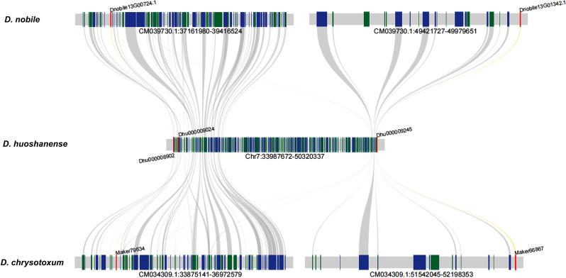 https://cdn.ncbi.nlm.nih.gov/pmc/blobs/5f32/11684235/20cfddecbbb8/12870_2024_6009_Fig4_HTML.jpg