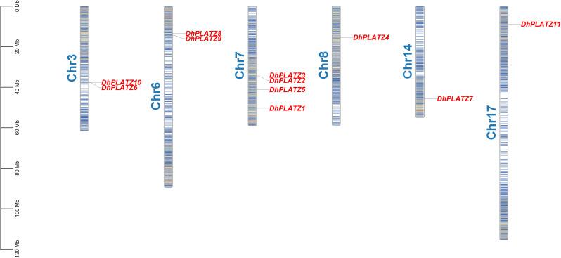 https://cdn.ncbi.nlm.nih.gov/pmc/blobs/5f32/11684235/e2280faa7563/12870_2024_6009_Fig1_HTML.jpg