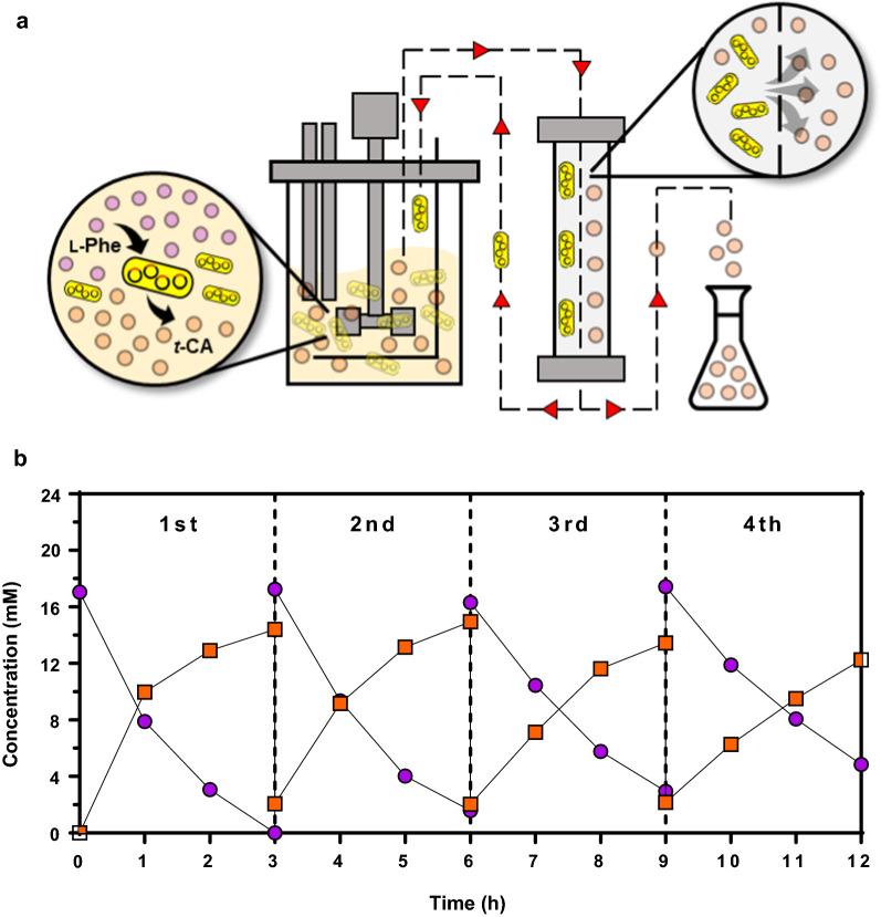 https://cdn.ncbi.nlm.nih.gov/pmc/blobs/5f32/8310591/0db4e495b87f/12934_2021_1631_Fig5_HTML.jpg