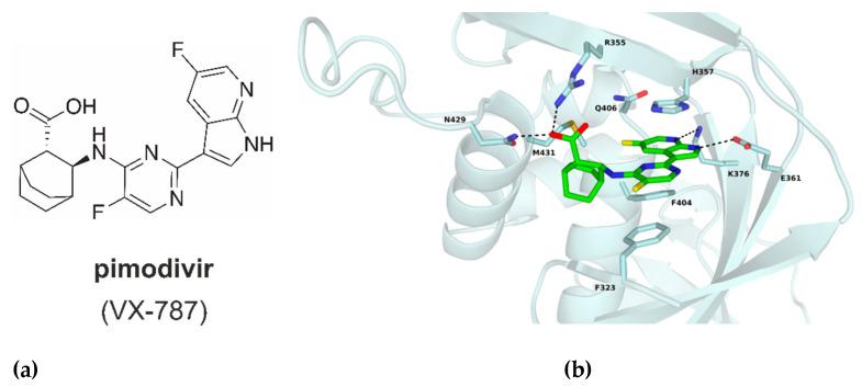 https://cdn.ncbi.nlm.nih.gov/pmc/blobs/5f33/7917969/4b0ad4646d20/molecules-26-01007-g002.jpg
