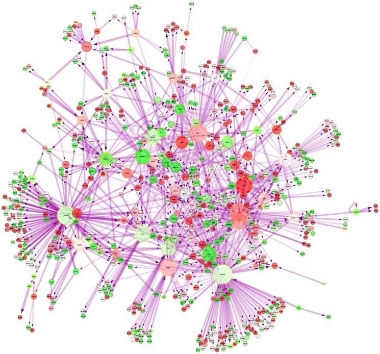 https://cdn.ncbi.nlm.nih.gov/pmc/blobs/5f37/3415404/33e80ebfb9db/pgen.1002834.g004.jpg