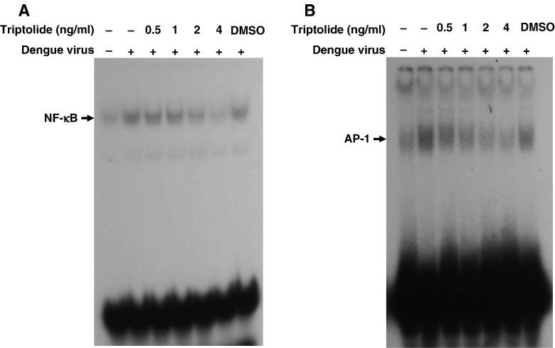 https://cdn.ncbi.nlm.nih.gov/pmc/blobs/5f37/7094504/1b9634f84d44/gr7_lrg.jpg