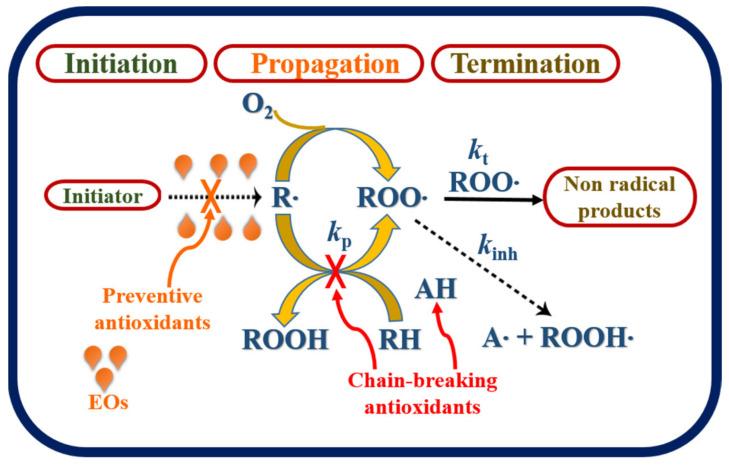 https://cdn.ncbi.nlm.nih.gov/pmc/blobs/5f3a/8466708/d0b84396d2c1/biomolecules-11-01267-g002.jpg