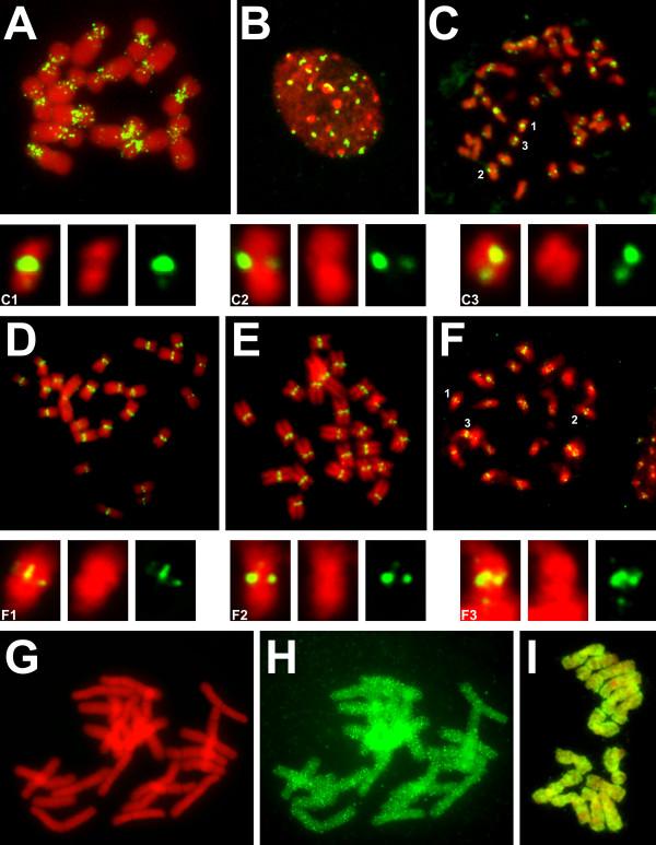 https://cdn.ncbi.nlm.nih.gov/pmc/blobs/5f3b/3059260/49787b371cff/1759-8753-2-4-5.jpg