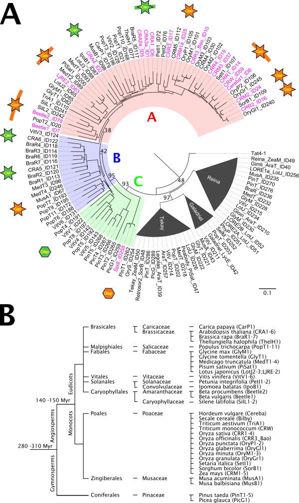 https://cdn.ncbi.nlm.nih.gov/pmc/blobs/5f3b/3059260/fa1b0f5381b1/1759-8753-2-4-1.jpg