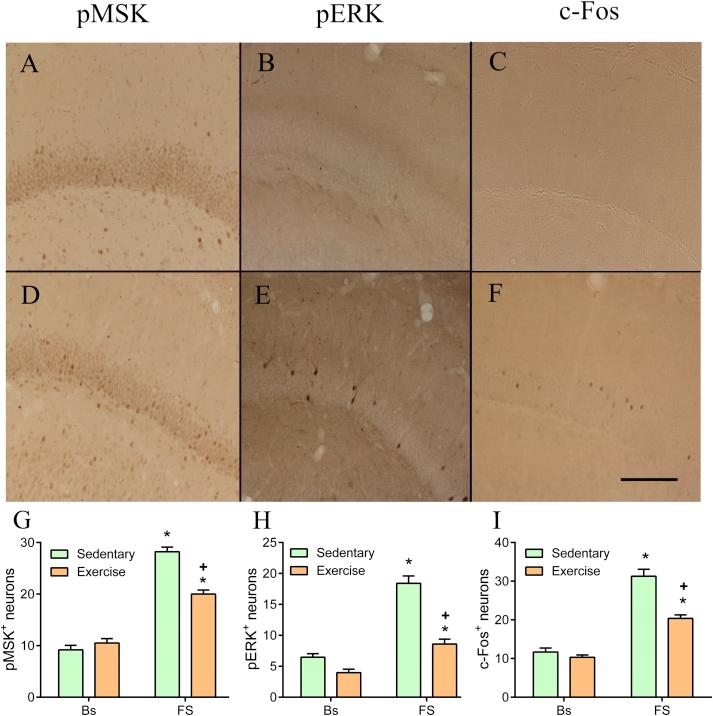 https://cdn.ncbi.nlm.nih.gov/pmc/blobs/5f3b/4721318/3044326224b3/gr2.jpg
