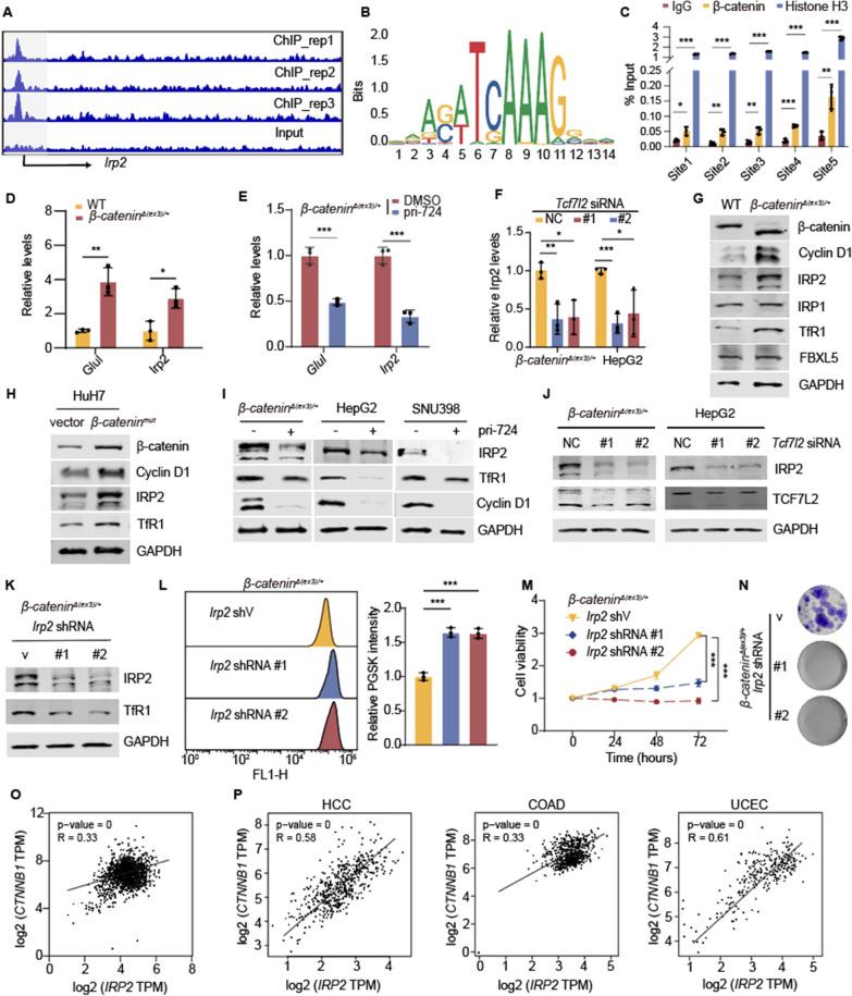 https://cdn.ncbi.nlm.nih.gov/pmc/blobs/5f3e/9881310/b8680d3284ef/12967_2023_3914_Fig4_HTML.jpg