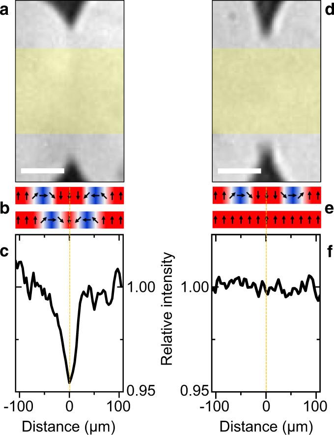 https://cdn.ncbi.nlm.nih.gov/pmc/blobs/5f3f/8115534/cc36827a25e6/41467_2021_22808_Fig3_HTML.jpg