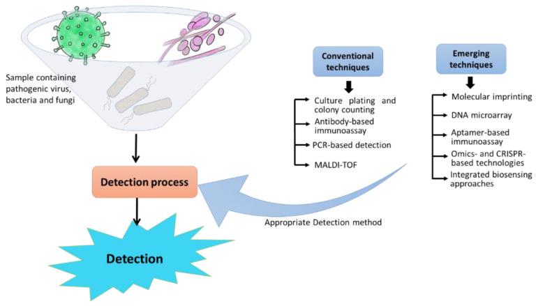 https://cdn.ncbi.nlm.nih.gov/pmc/blobs/5f44/9313409/e846a7fbc3f6/biosensors-12-00489-sch001.jpg