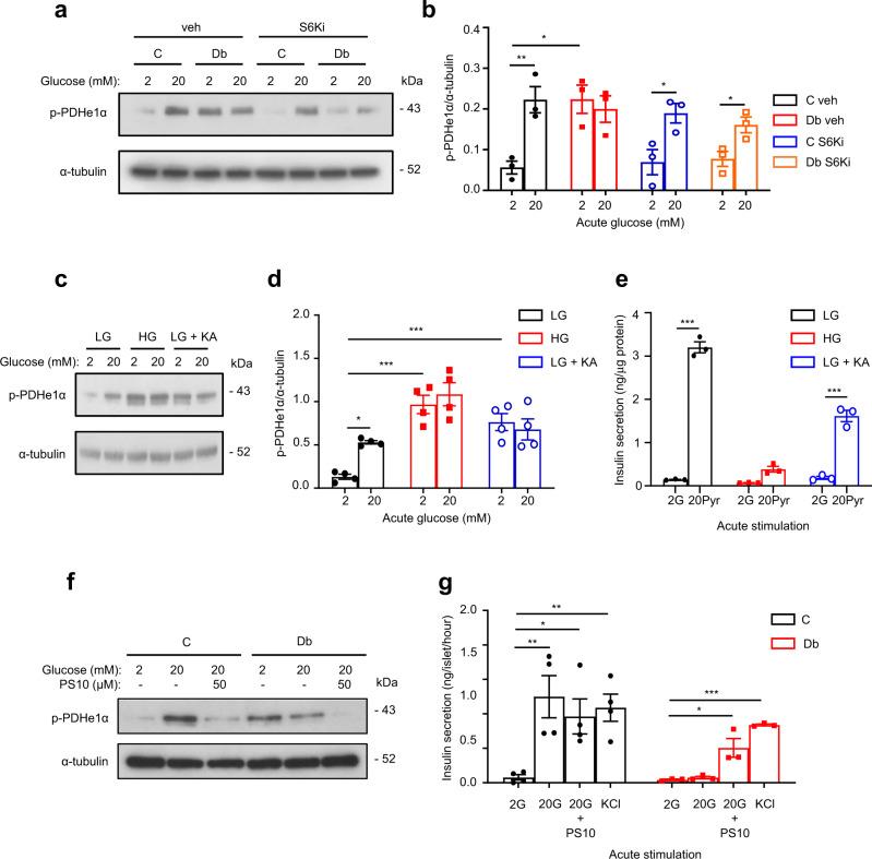 https://cdn.ncbi.nlm.nih.gov/pmc/blobs/5f44/9663558/01260d1b5fbb/41467_2022_34095_Fig9_HTML.jpg