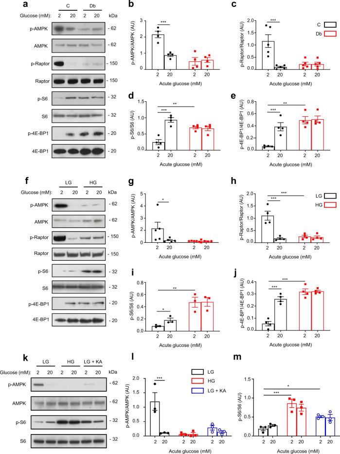 https://cdn.ncbi.nlm.nih.gov/pmc/blobs/5f44/9663558/51b96e454410/41467_2022_34095_Fig5_HTML.jpg