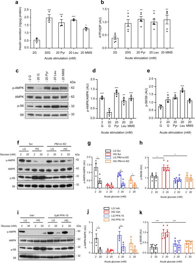 https://cdn.ncbi.nlm.nih.gov/pmc/blobs/5f44/9663558/d45f45523692/41467_2022_34095_Fig6_HTML.jpg