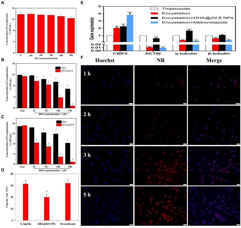 https://cdn.ncbi.nlm.nih.gov/pmc/blobs/5f45/11094645/dbc7d2ba4cd2/fvets-11-1364287-g002.jpg