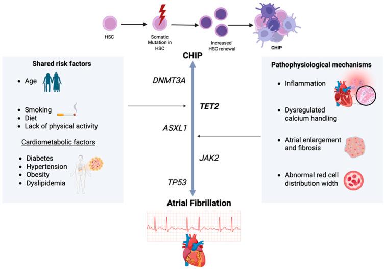 https://cdn.ncbi.nlm.nih.gov/pmc/blobs/5f45/12346490/5044ab4d7764/diagnostics-15-01915-g002.jpg