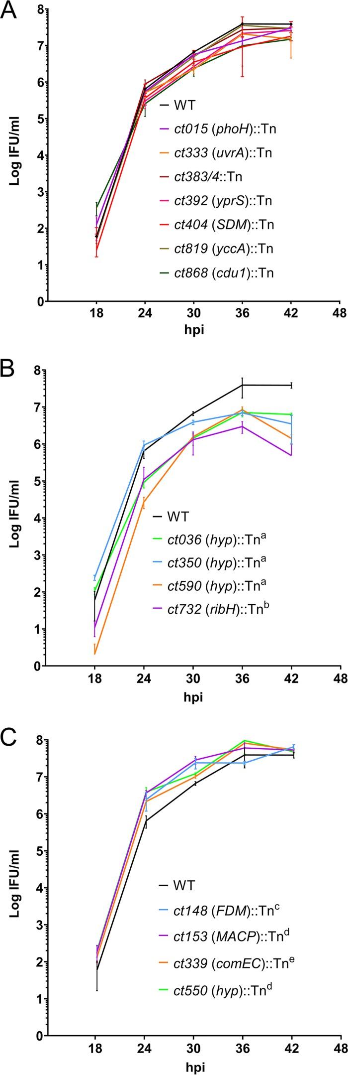 https://cdn.ncbi.nlm.nih.gov/pmc/blobs/5f46/6686042/9609854a31c9/mBio.01343-19-f0002.jpg