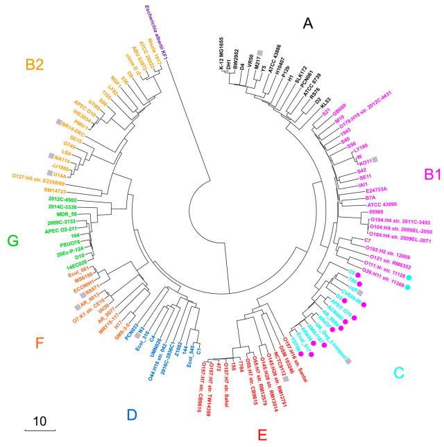 https://cdn.ncbi.nlm.nih.gov/pmc/blobs/5f4c/12299893/5c2d0e45d89b/microorganisms-13-01584-g001.jpg