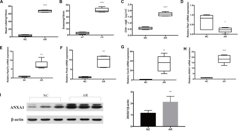 https://cdn.ncbi.nlm.nih.gov/pmc/blobs/5f4c/7477359/f93e6730b046/fgene-11-00970-g005.jpg