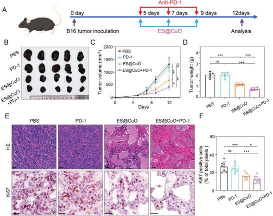 https://cdn.ncbi.nlm.nih.gov/pmc/blobs/5f4d/11095170/f0c59ca74d10/ADVS-11-2309984-g001.jpg